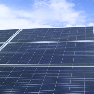 【美橙出手，現(xiàn)金到手】